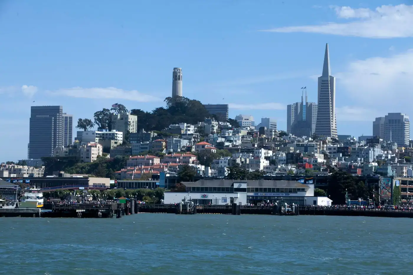The San Francisco skyline, including the Transamerica Pyramid, seen from the water